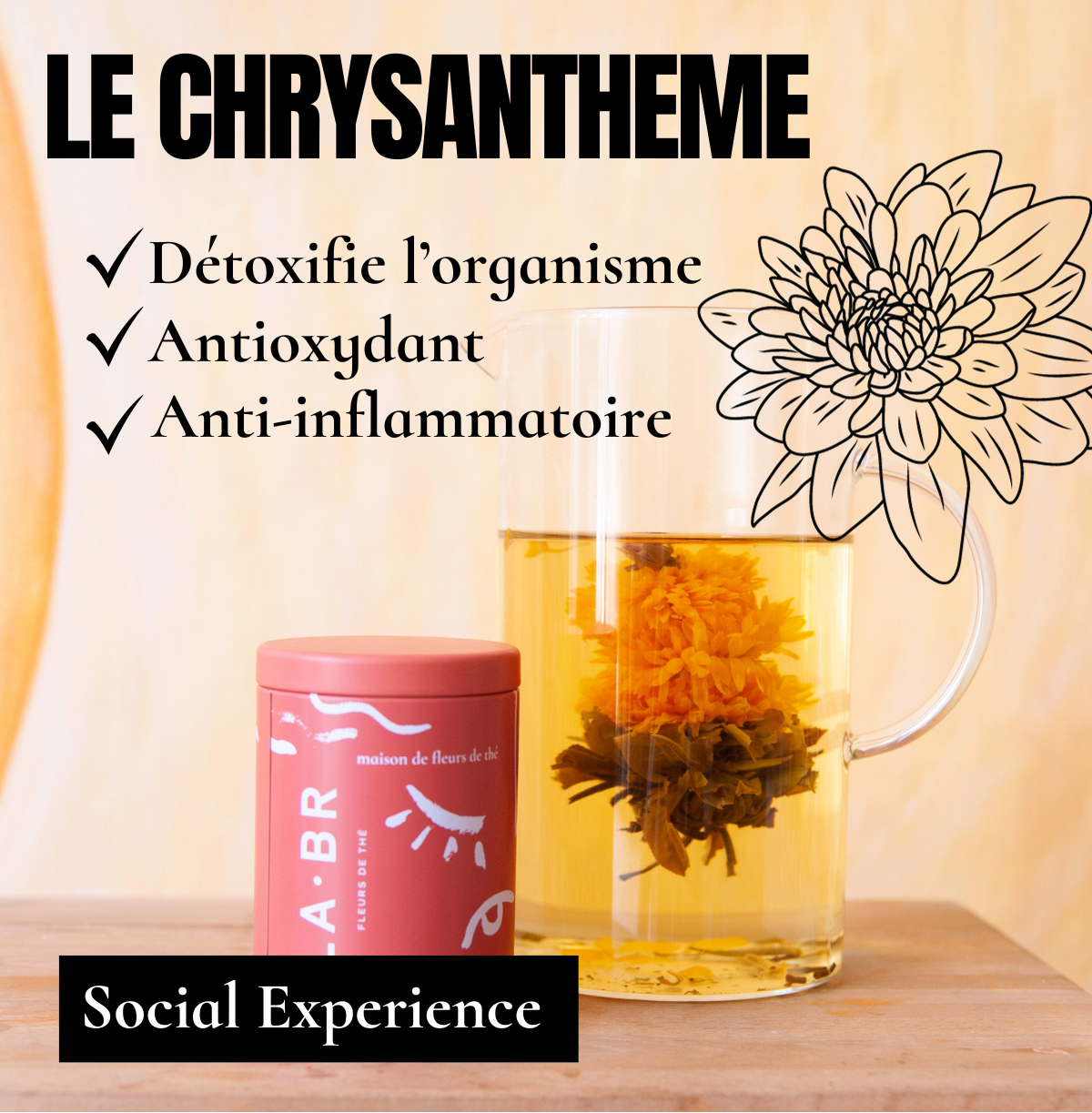 bienfaits chrysantheme labr.. LABR Paris première maison de fleur de thé
