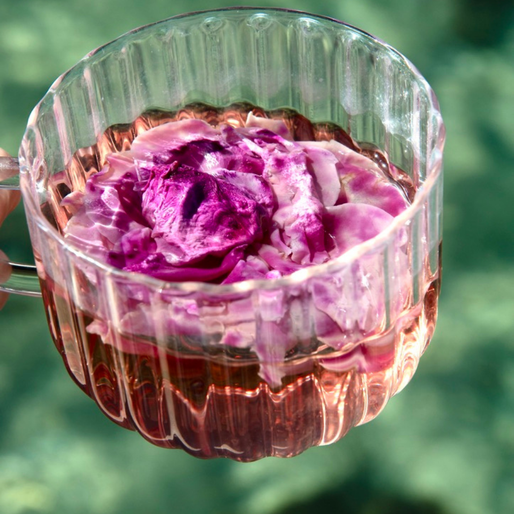 infusion florale rose labr 12. LABR Paris première maison de fleur de thé