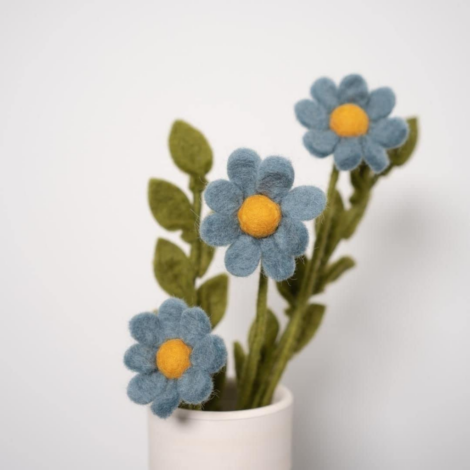 marguerite-bleue-laine-labr-2